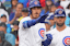 Cody Bellinger Chicago Cubs MLB