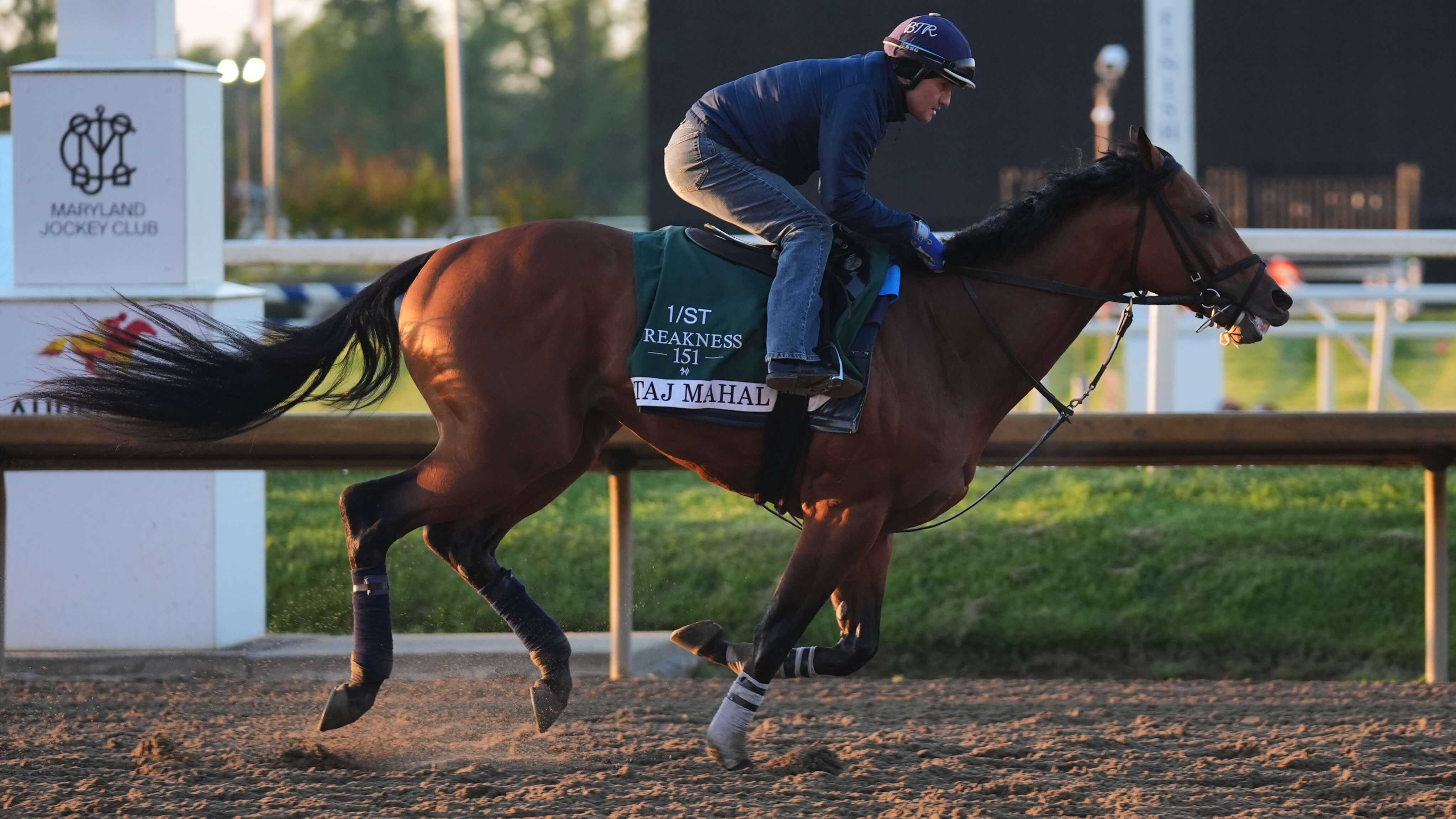 How To Bet - Preakness Stakes Predictions and Best Bets: Expert Analysis for the 2026 Run for the Black-Eyed Susans
