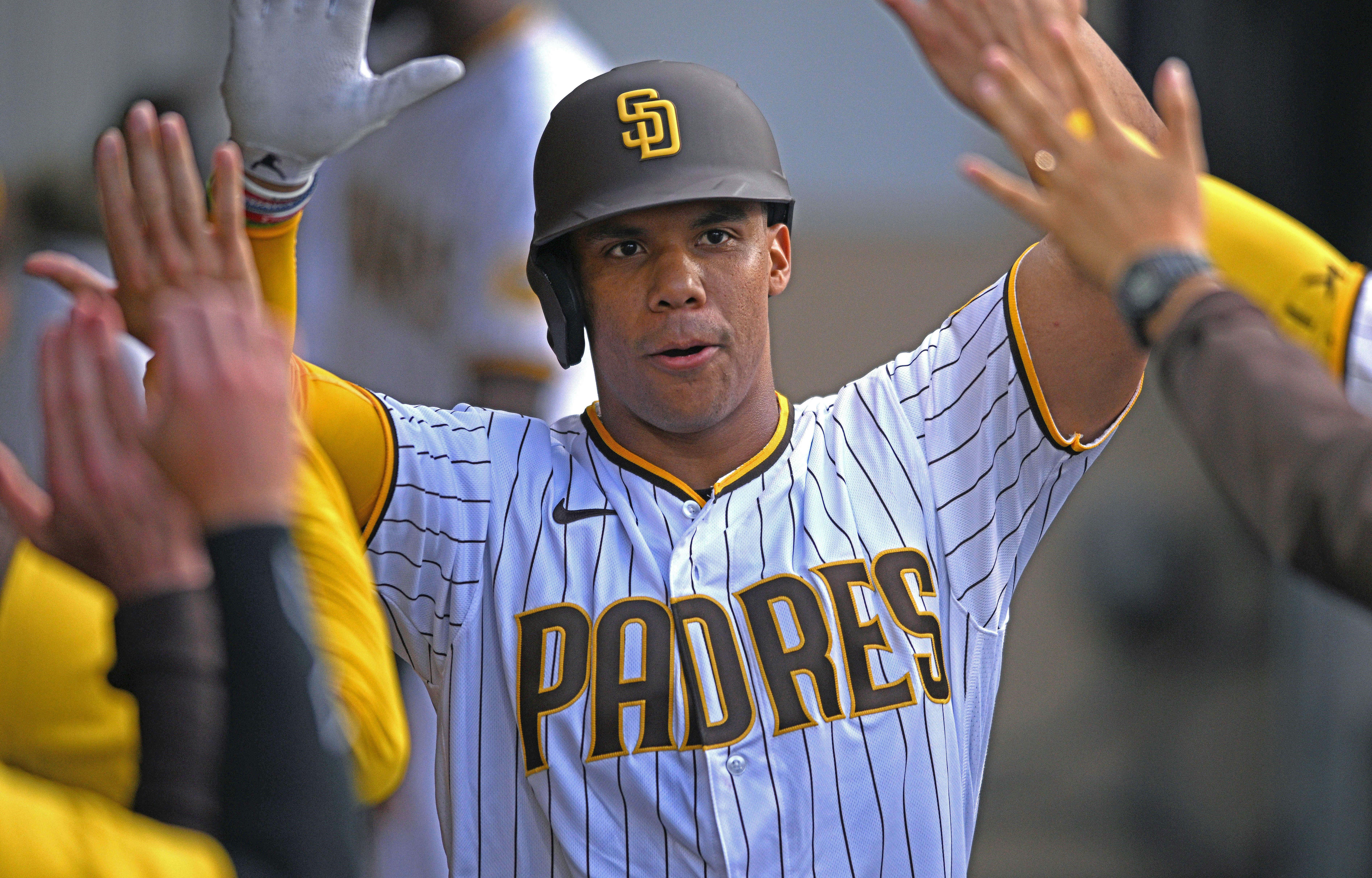 Juan Soto San Diego Padres MLB
