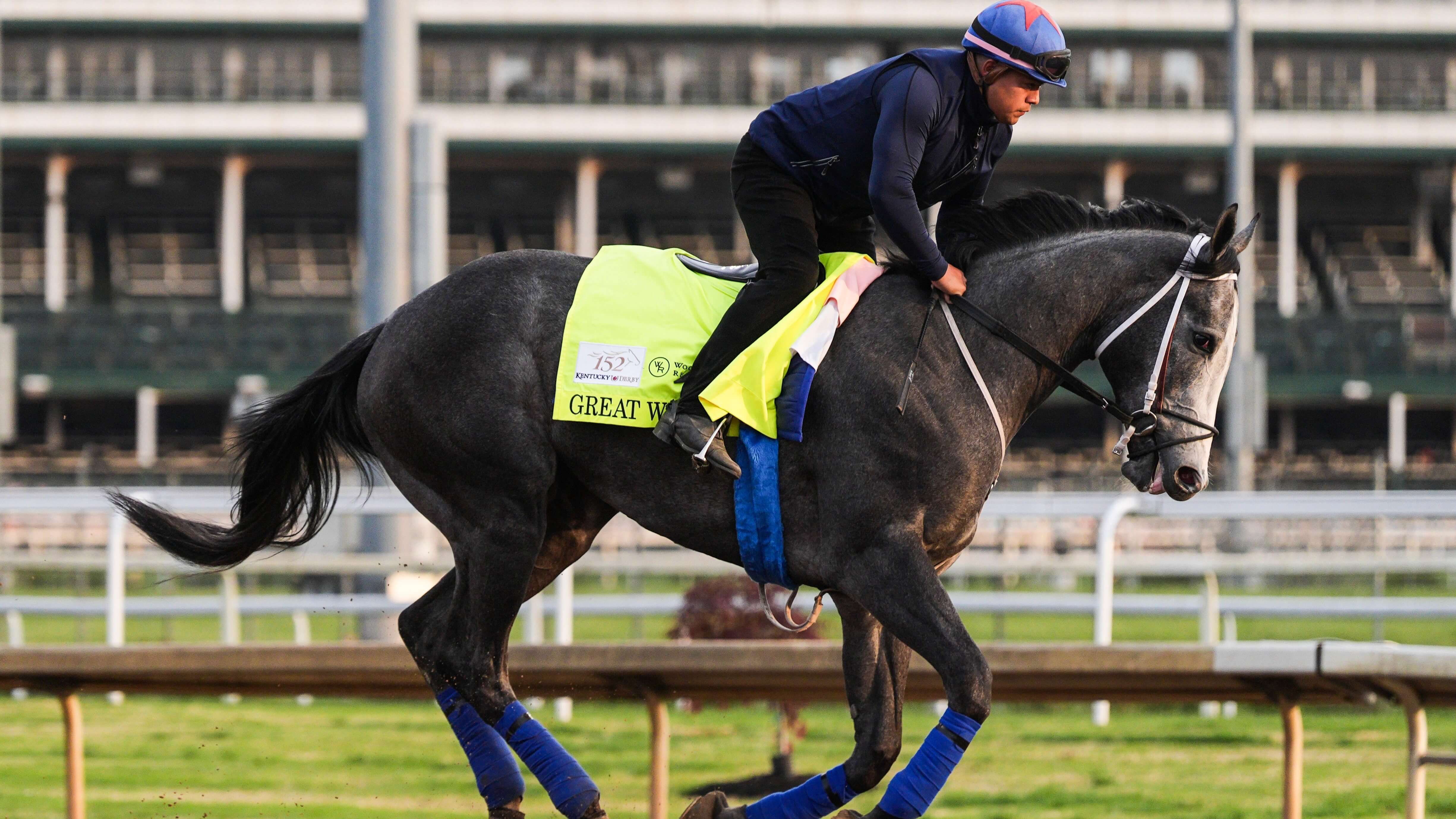 How To Bet - Preakness Stakes Horses: Who is Running at Laurel Park This Year?