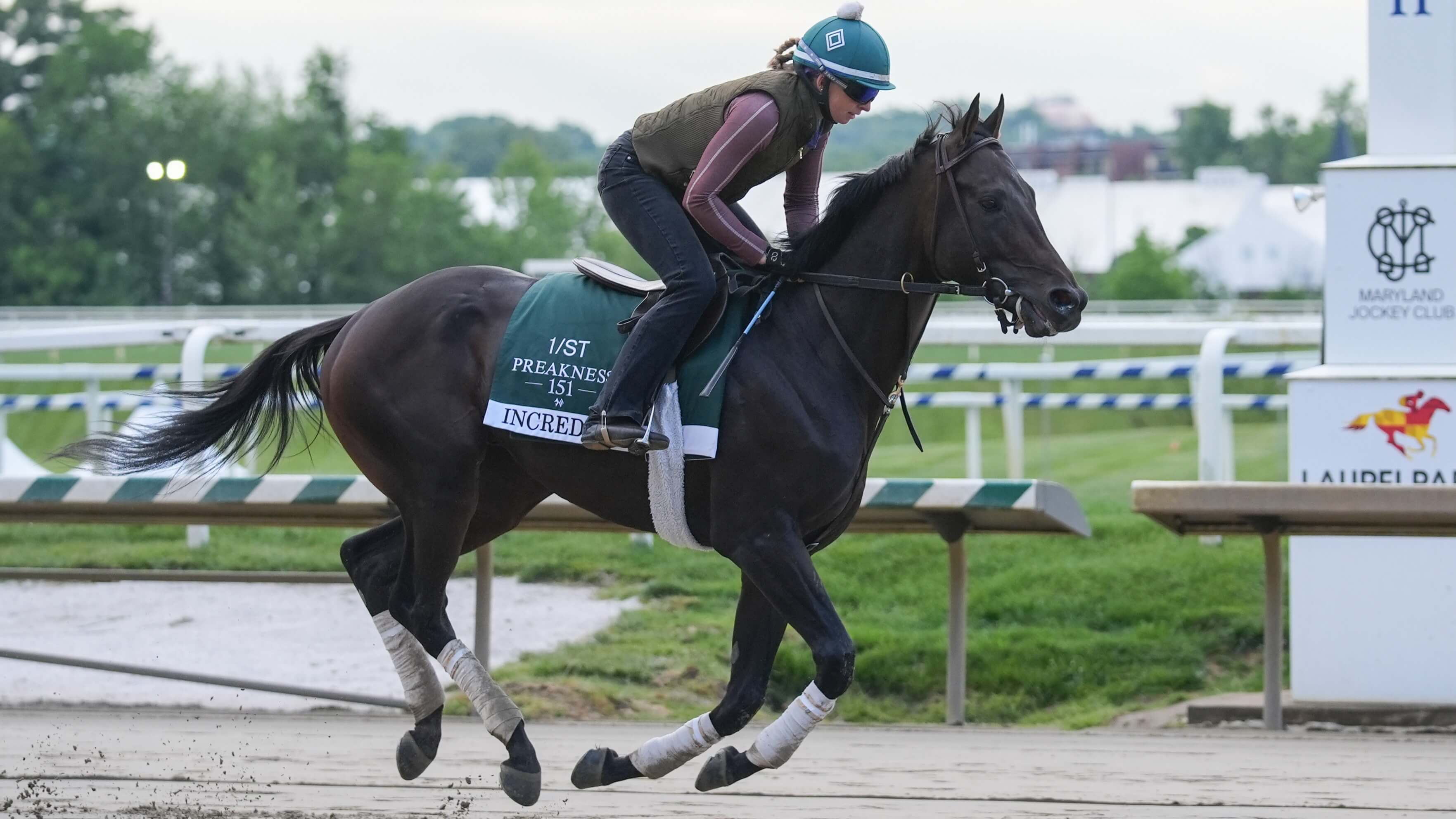 How To Bet - Preakness Stakes Predictions and Best Bets: Expert Analysis for the 2026 Run for the Black-Eyed Susans