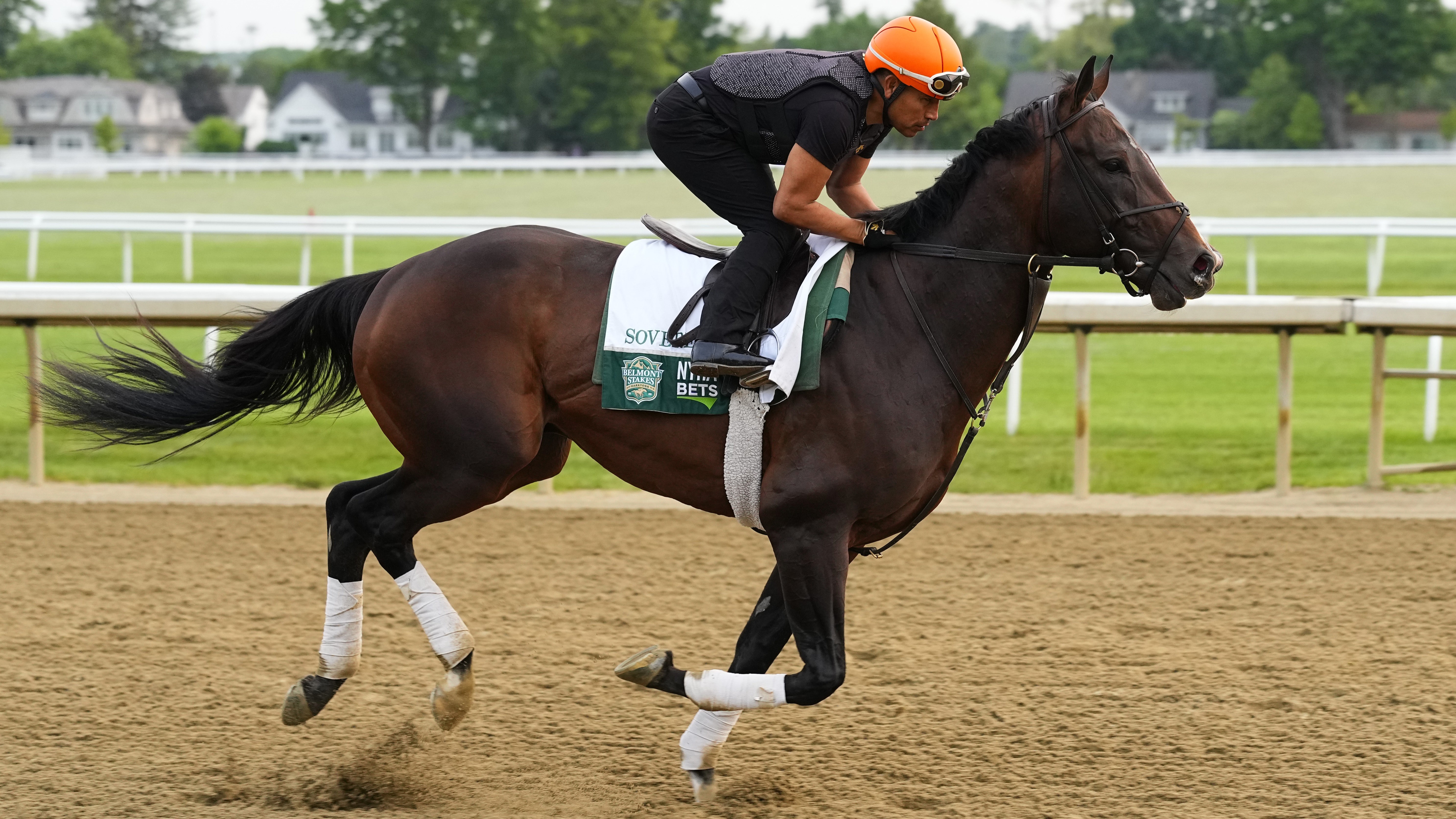 How To Bet - Belmont Stakes Picks: Best Trifecta, Superfecta, Exacta Bets for 2025