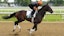 Belmont Stakes horse racing 
