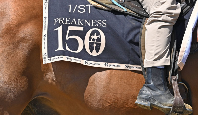 How To Bet - 2025 Preakness Stakes Trifecta, Superfecta & Exacta Picks for Tonight