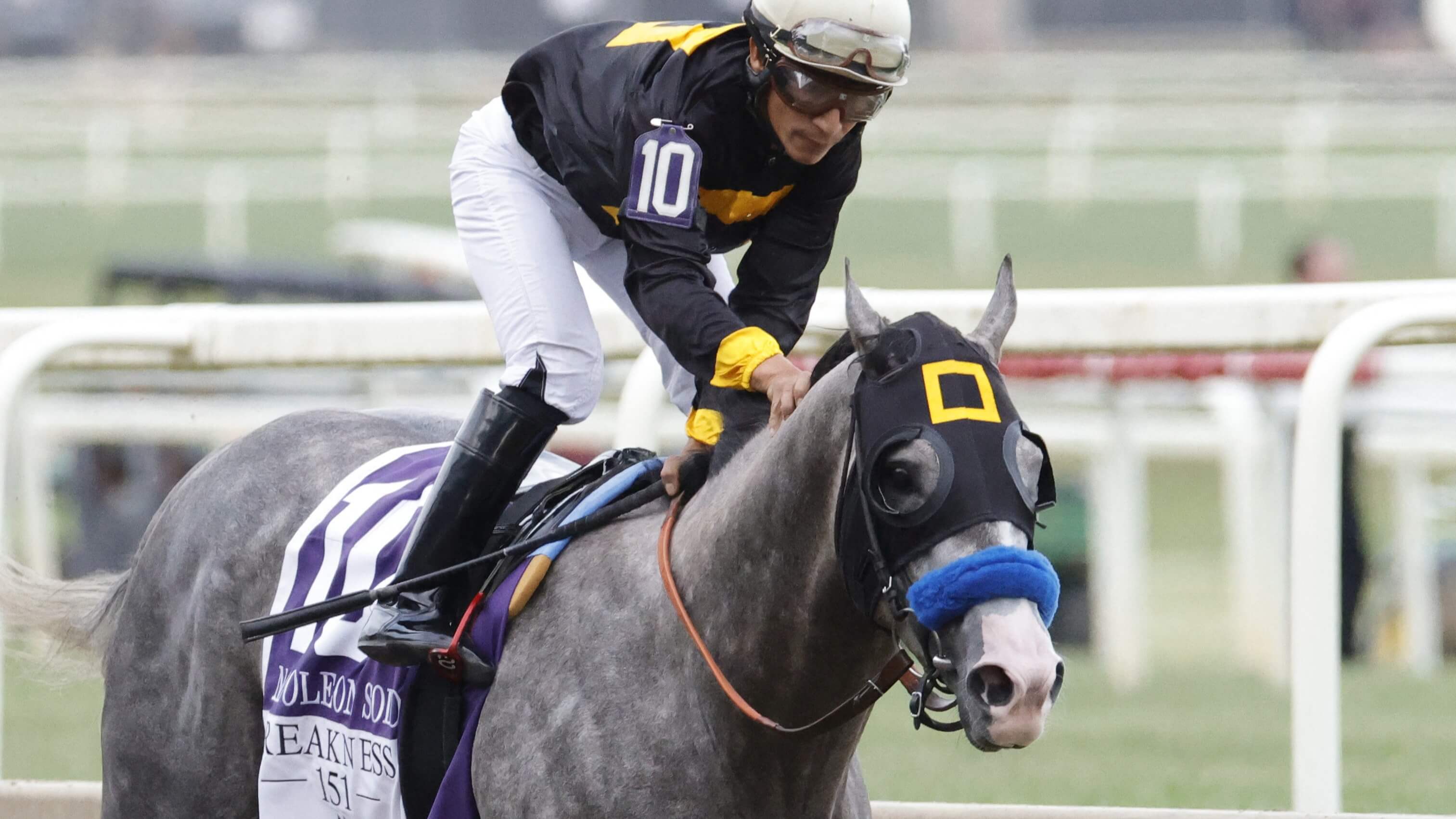 How To Bet - 2026 Belmont Stakes Odds: Napoleon Solo Will Not Take on Golden Tempo