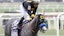 Napoleon Solo horse racing