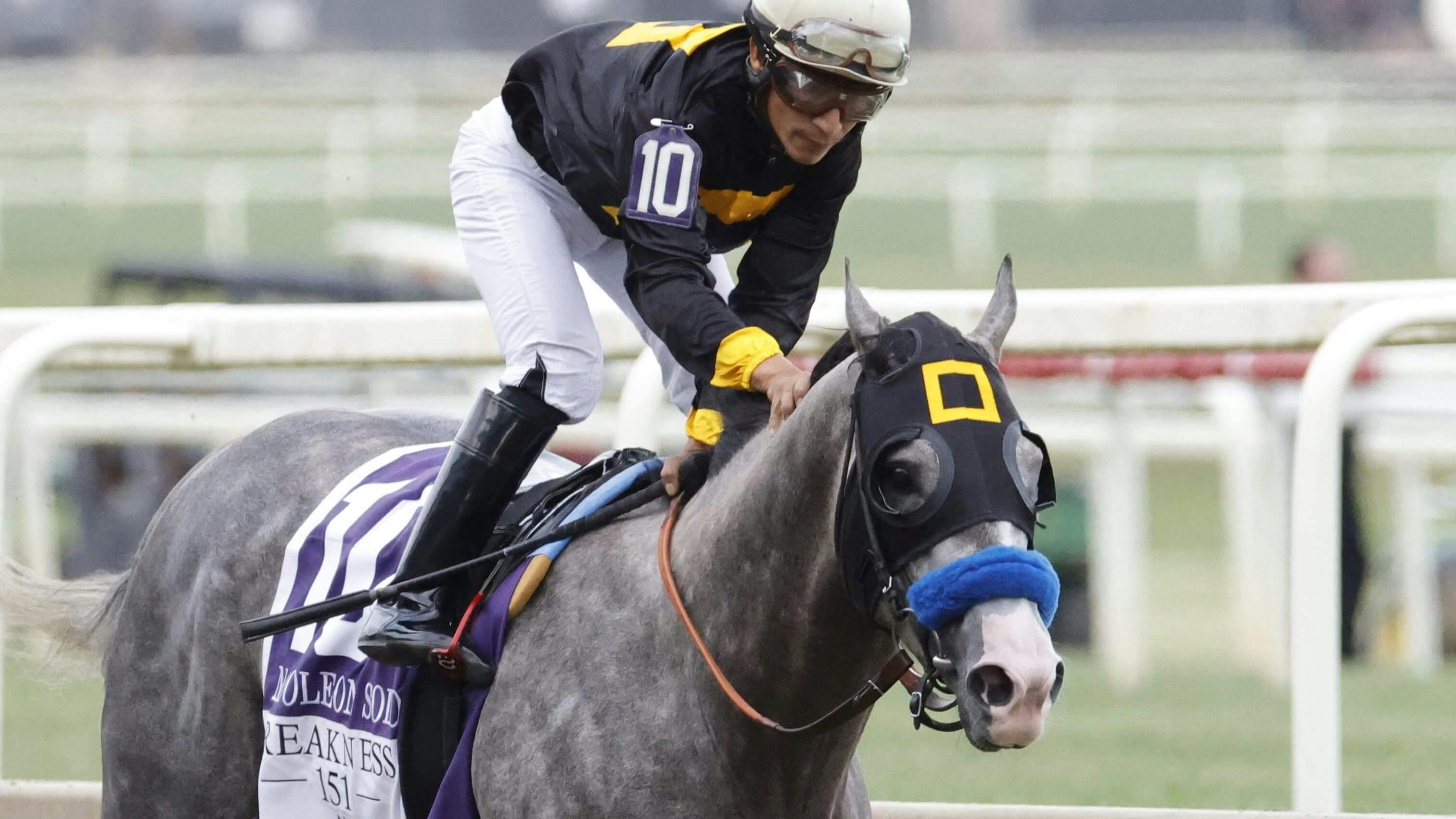 2026 Belmont Stakes Odds: Napoleon Solo to Skip Showdown With Golden Tempo