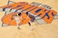 New York Knicks center court NBA