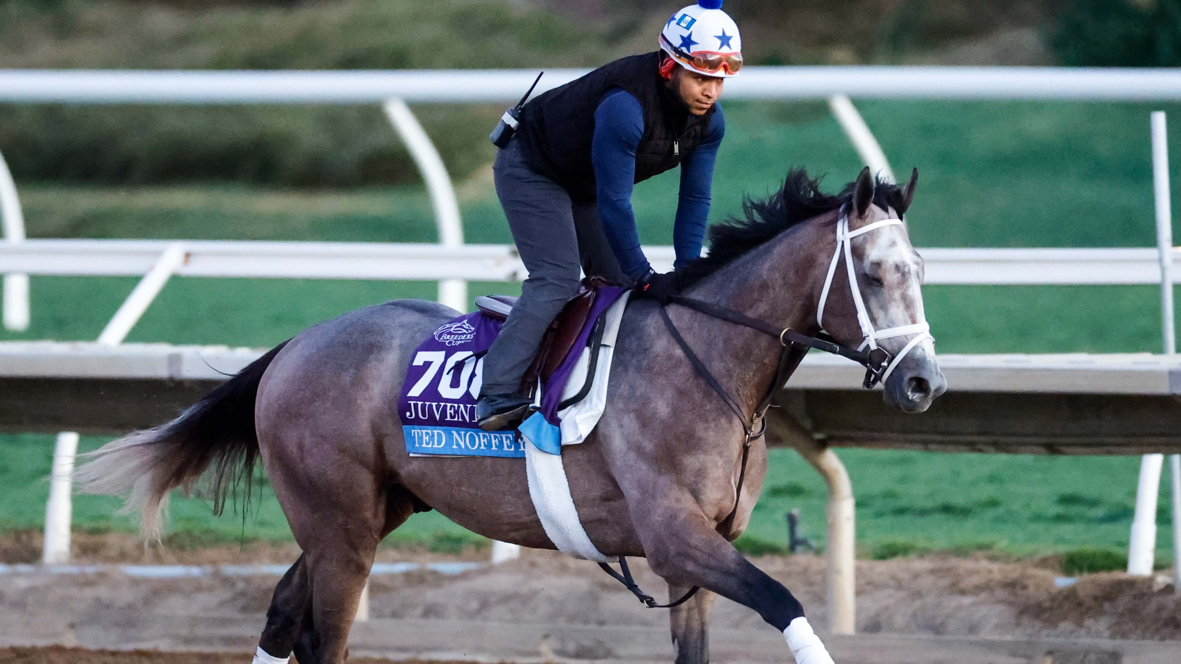 How To Bet - Breeders' Cup Picks & Best Bets for October 31: Juvenile Fillies Turf + Juvenile