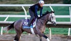 Breeders' Cup Picks & Best Bets for October 31: Juvenile Fillies Turf + Juvenile