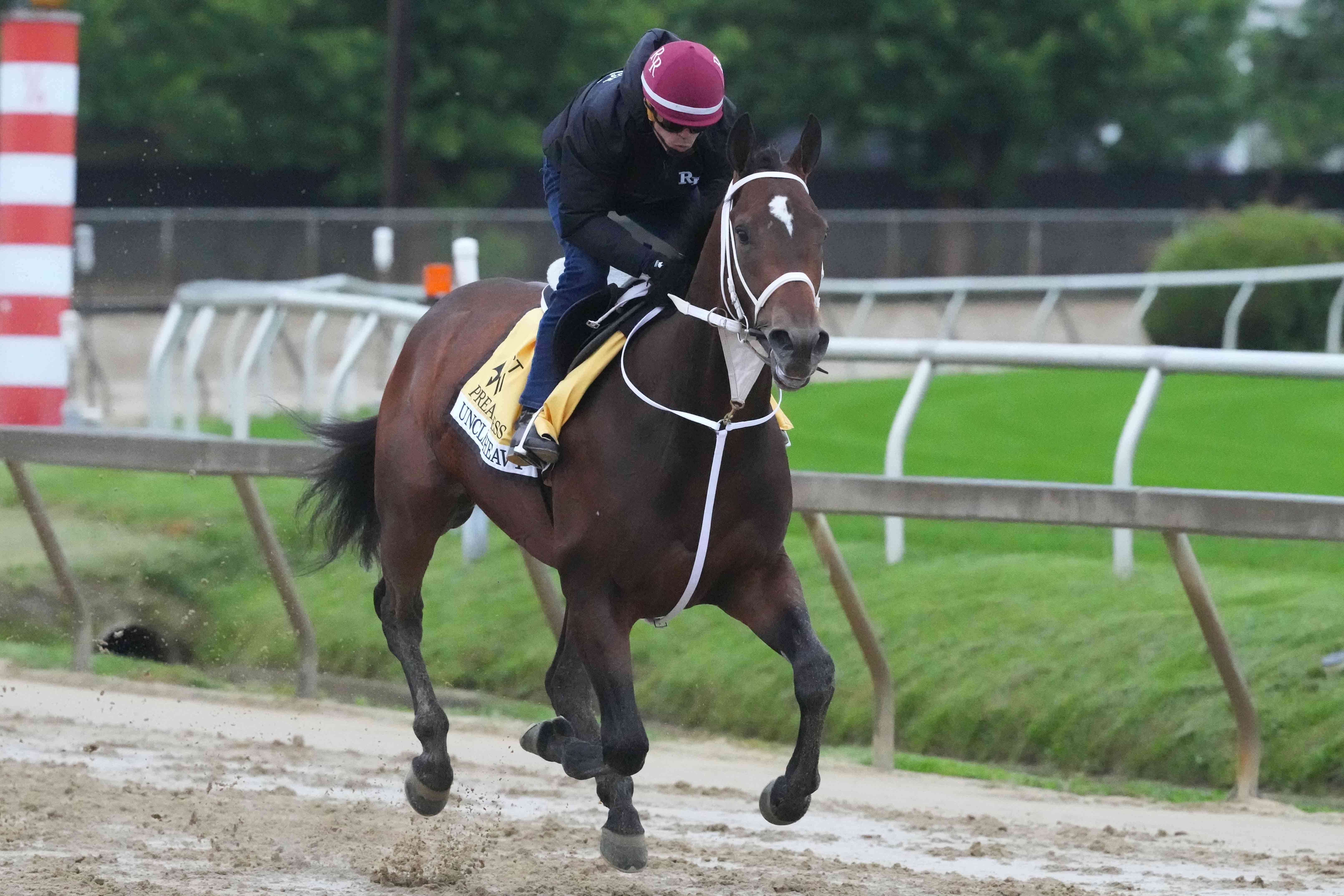 Preakness Stakes Long Shot Odds: Underdogs and Sleeper Bets for 2024