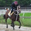 Uncle Heavy Preakness Stakes horse racing