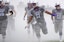 Furman Paladins FCS Football NCAAF