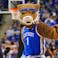 Kentucky Wildcats Mascot NCAAB