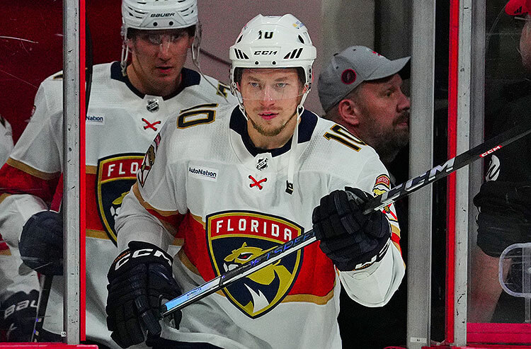 Vladimir Tarasenko Florida Panthers NHL