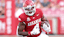 Mike Washington Jr. Arkansas Razorbacks NCAA College Football