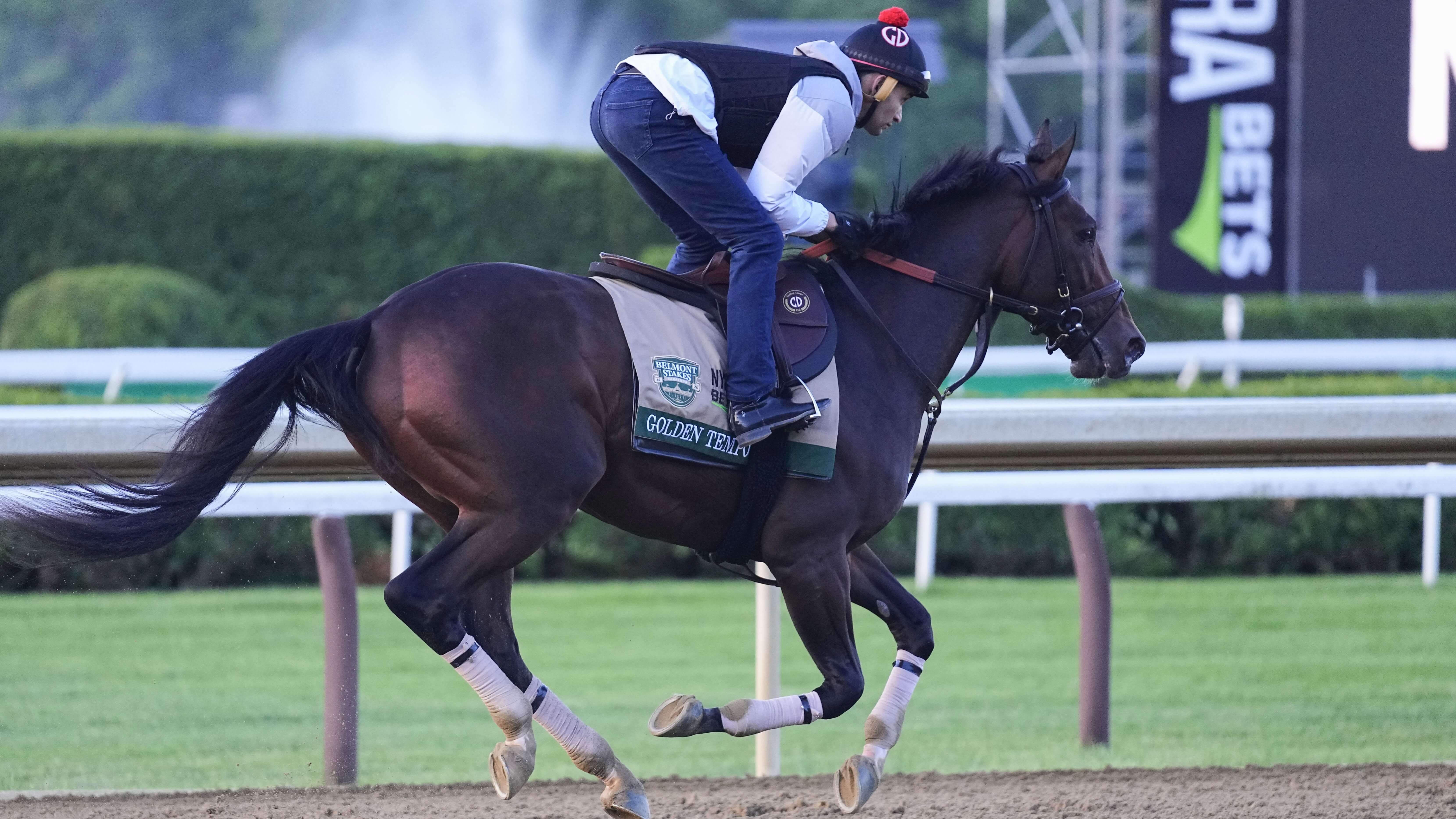 How To Bet - 2026 Belmont Stakes Post Positions: Official Field & Odds