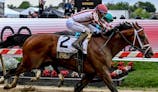 Journalism (2) with Umberto Rispoli up defeats Gosger (9) with Irad Ortiz Jr. up to win the running of the 150th Preakness stakes.