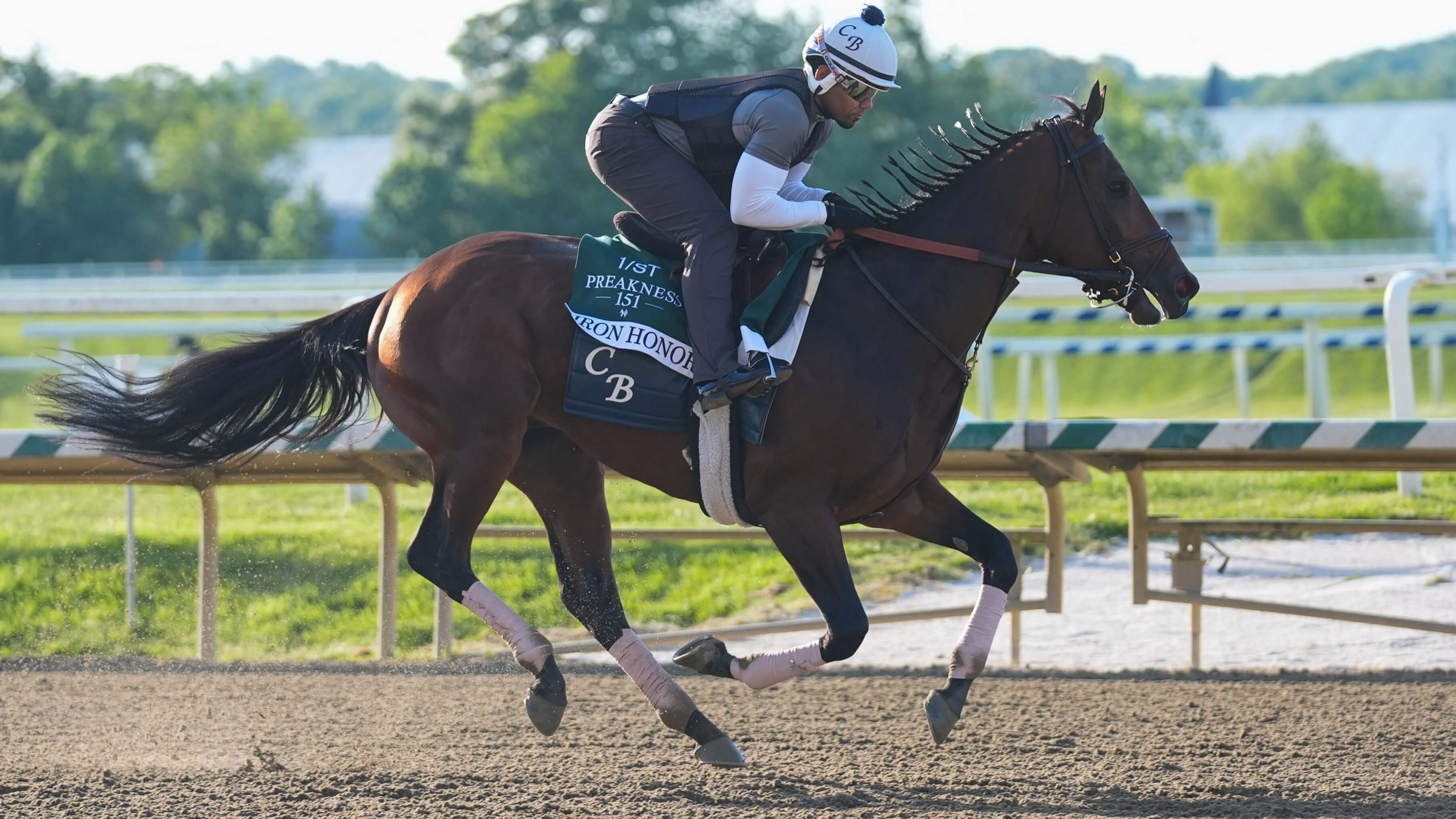 How To Bet - Preakness Stakes Odds 2026: Iron Honor a Lukewarm Favorite at +450