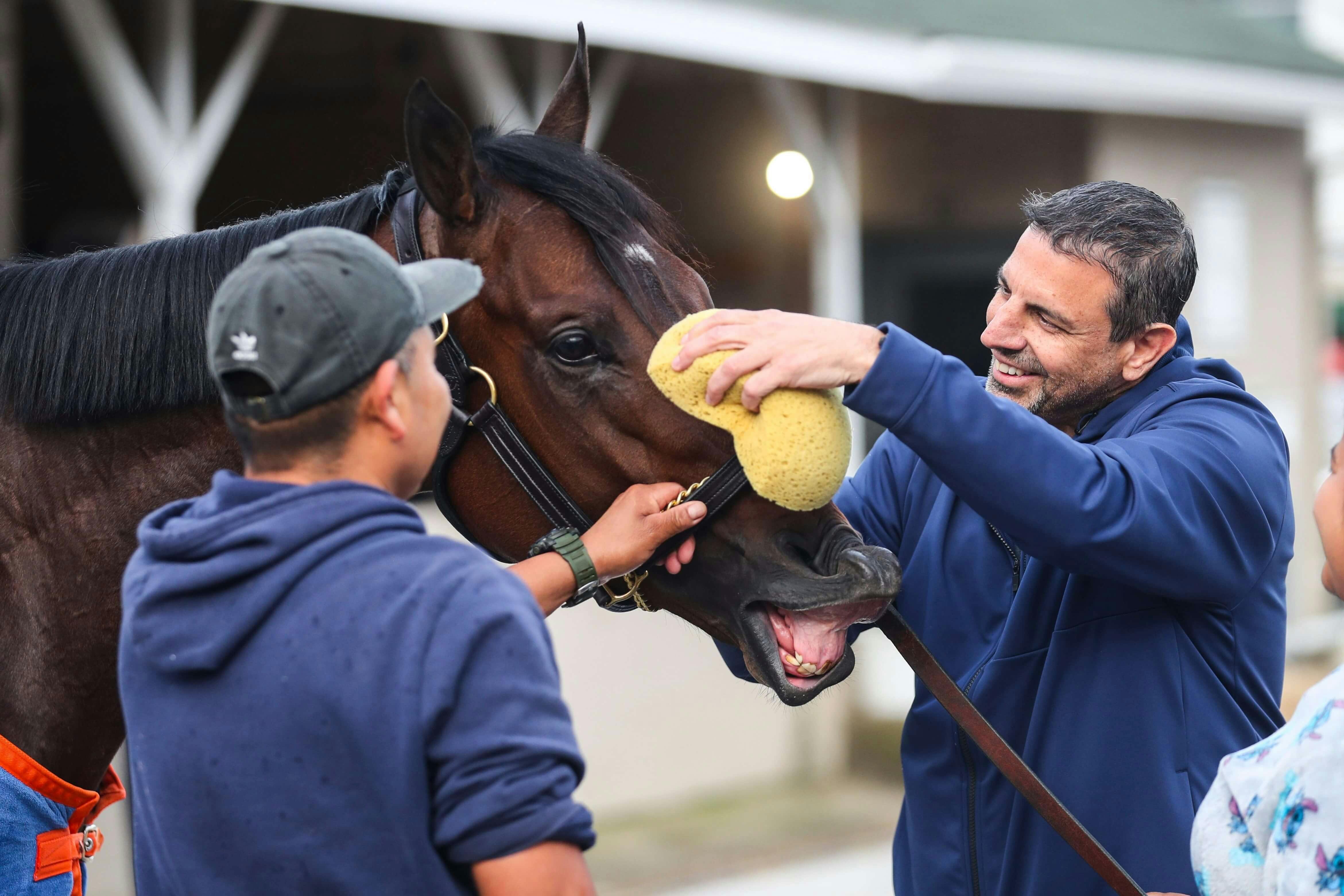 Fierceness Kentucky Derby horse racing