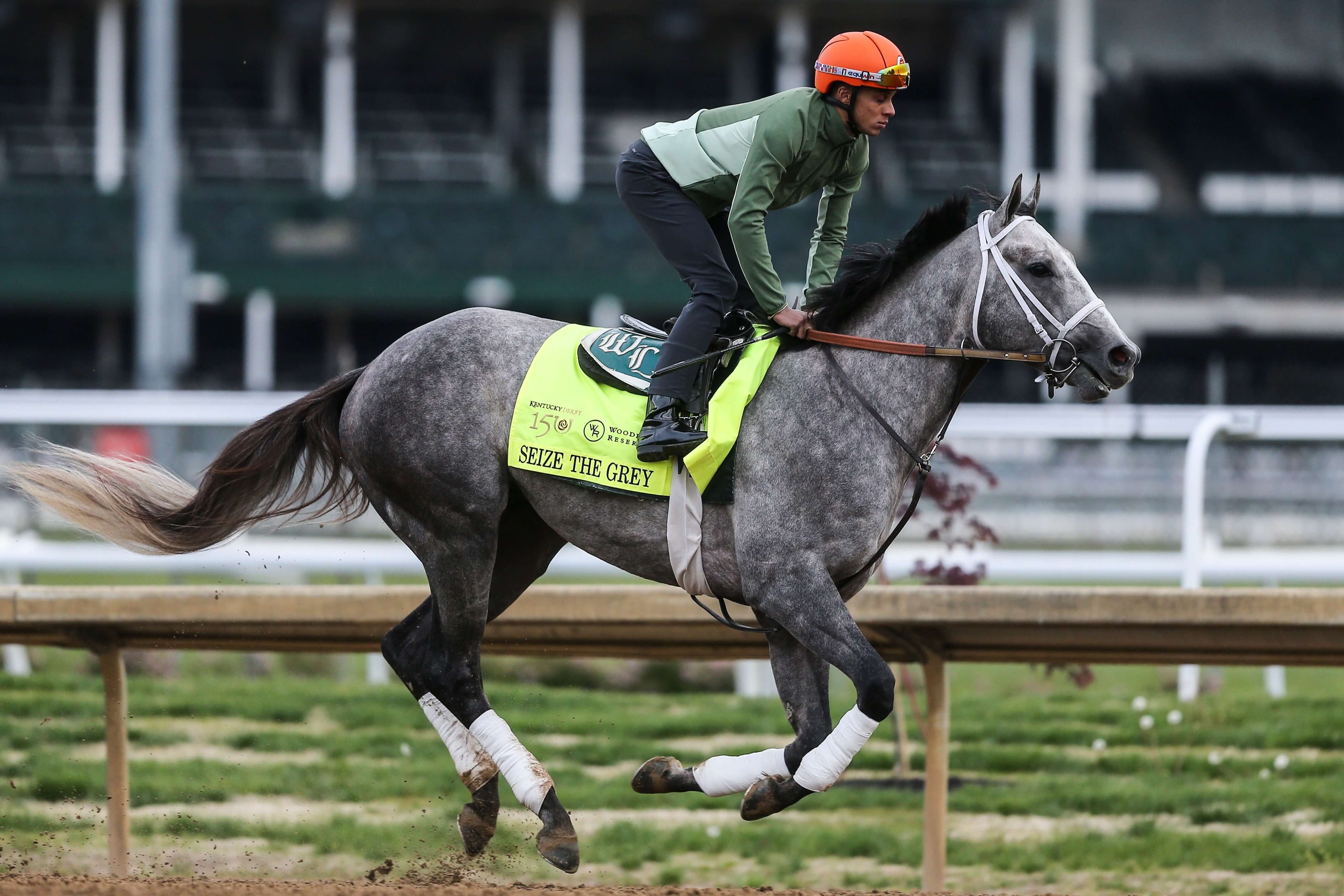 Seize the Grey Belmont Stakes horse racing