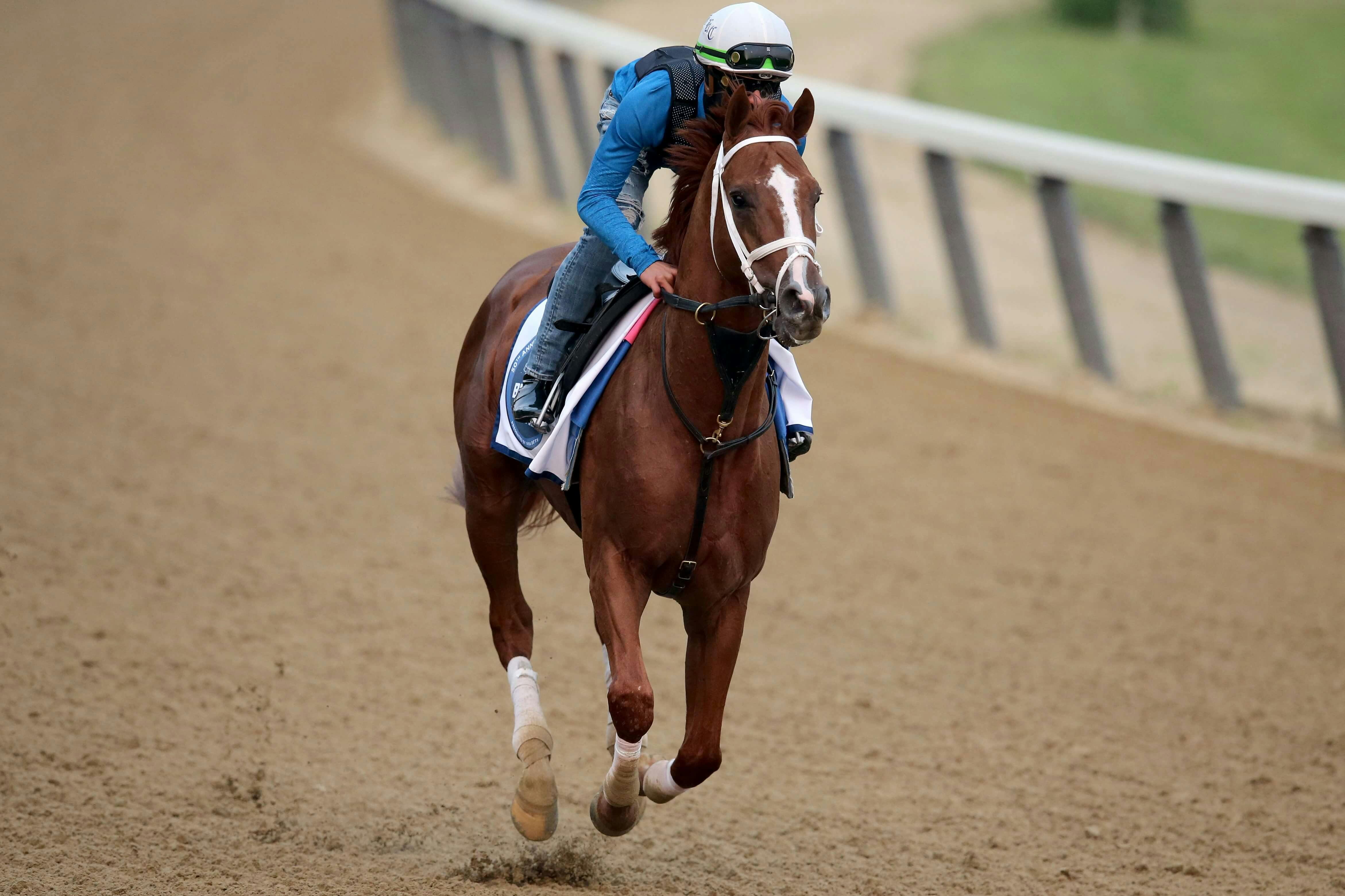 Belmont Stakes Tapit Shoes