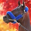 Breeders' Cup Thoroughbred race horse Flightline