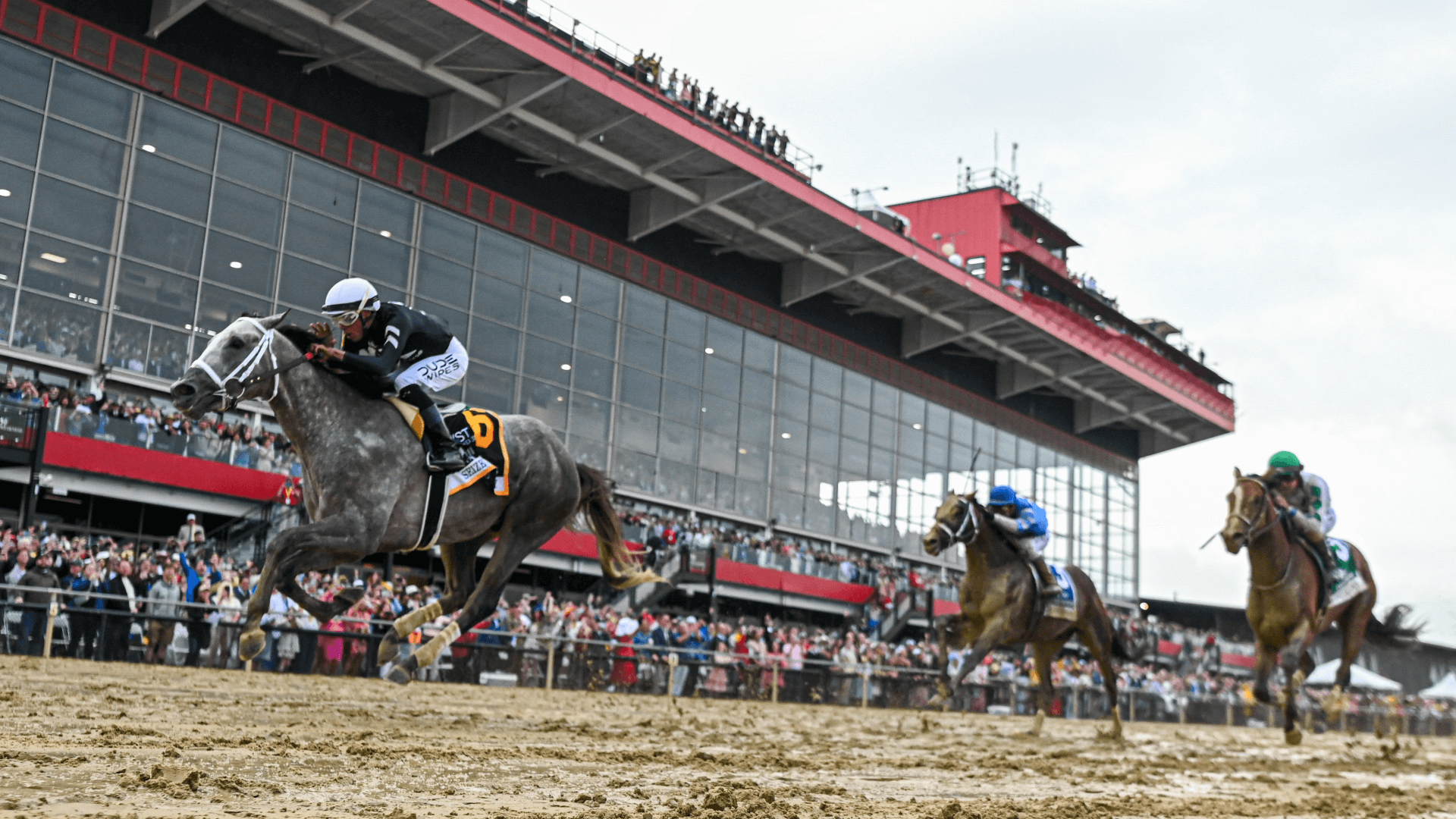 How To Bet - Make Smarter Preakness Stakes Wagers