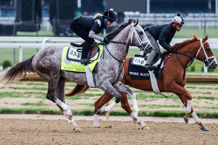 Best Trifecta, Superfecta, Exacta Picks for Kentucky Derby 2023