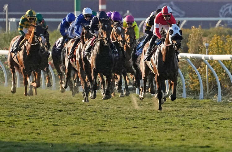 TwinSpires Begins Taking on Texas Bettors