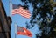 Georgia state flag. Megan Smith / USA TODAY NETWORK via Imagn Images