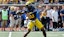 Alex Orji Michigan Wolverines NCAAF