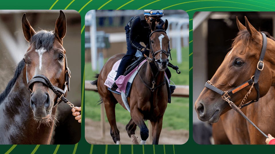 2026 Kentucky Oaks Predictions: Expert Win, Place & Show Picks Tonight