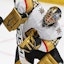Marc-Andre Fleury NHL Vegas Golden Knights