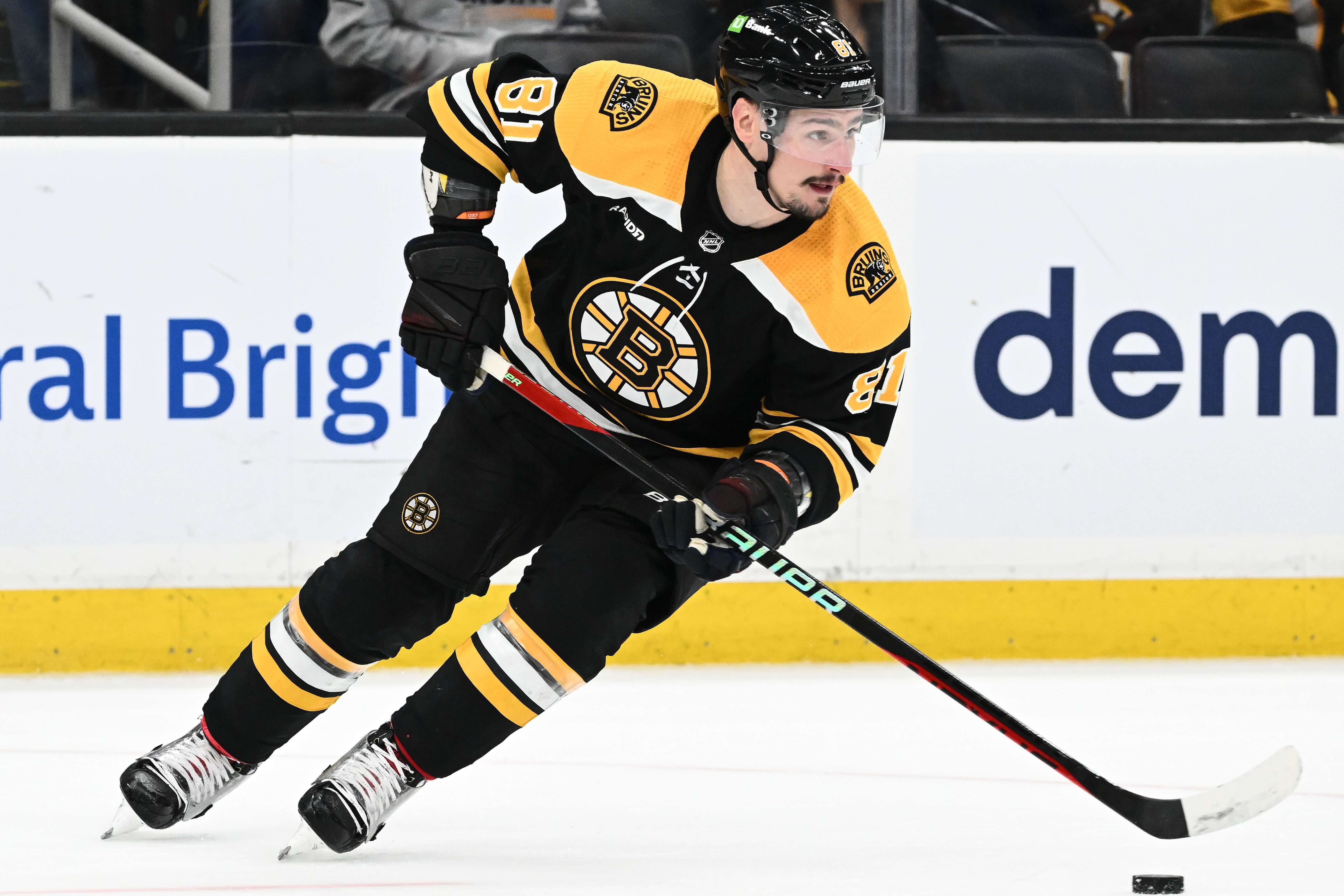 Bruins vs Red Wings Picks, Predictions, and Odds Tonight