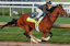 Kentucky Derby Racing