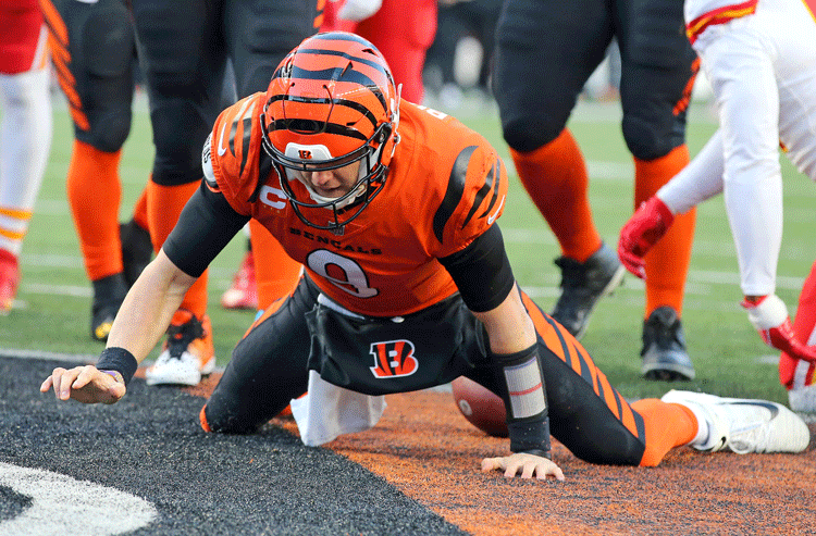 NFL Week 14 Odds: Best Spot Bets Include Bengals in Precarious Position