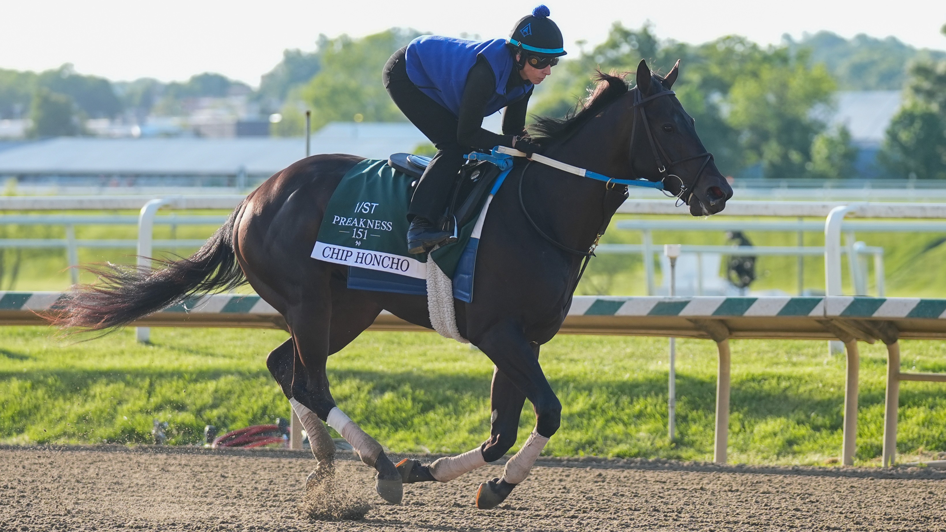 How To Bet - 2026 Preakness Stakes Cheat Sheet