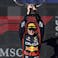 Max Verstappen F1