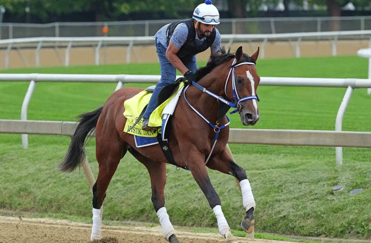 Mystik Dan Preakness Stakes Horse Racing