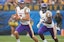 Albany Great Danes Football NCAAF