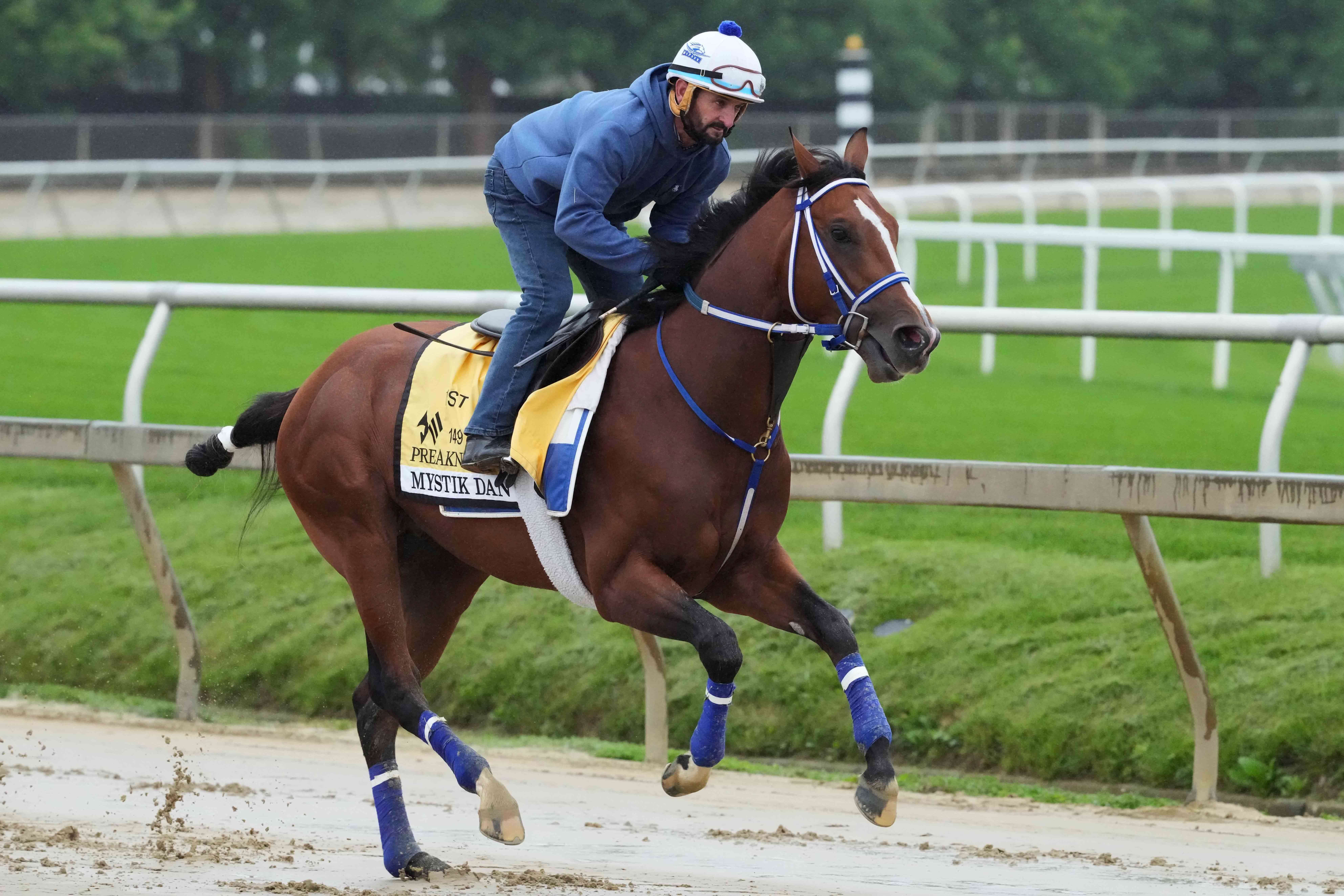 Preakness Odds: Friday Favorites Feature Mystik Dan, Catching Freedom