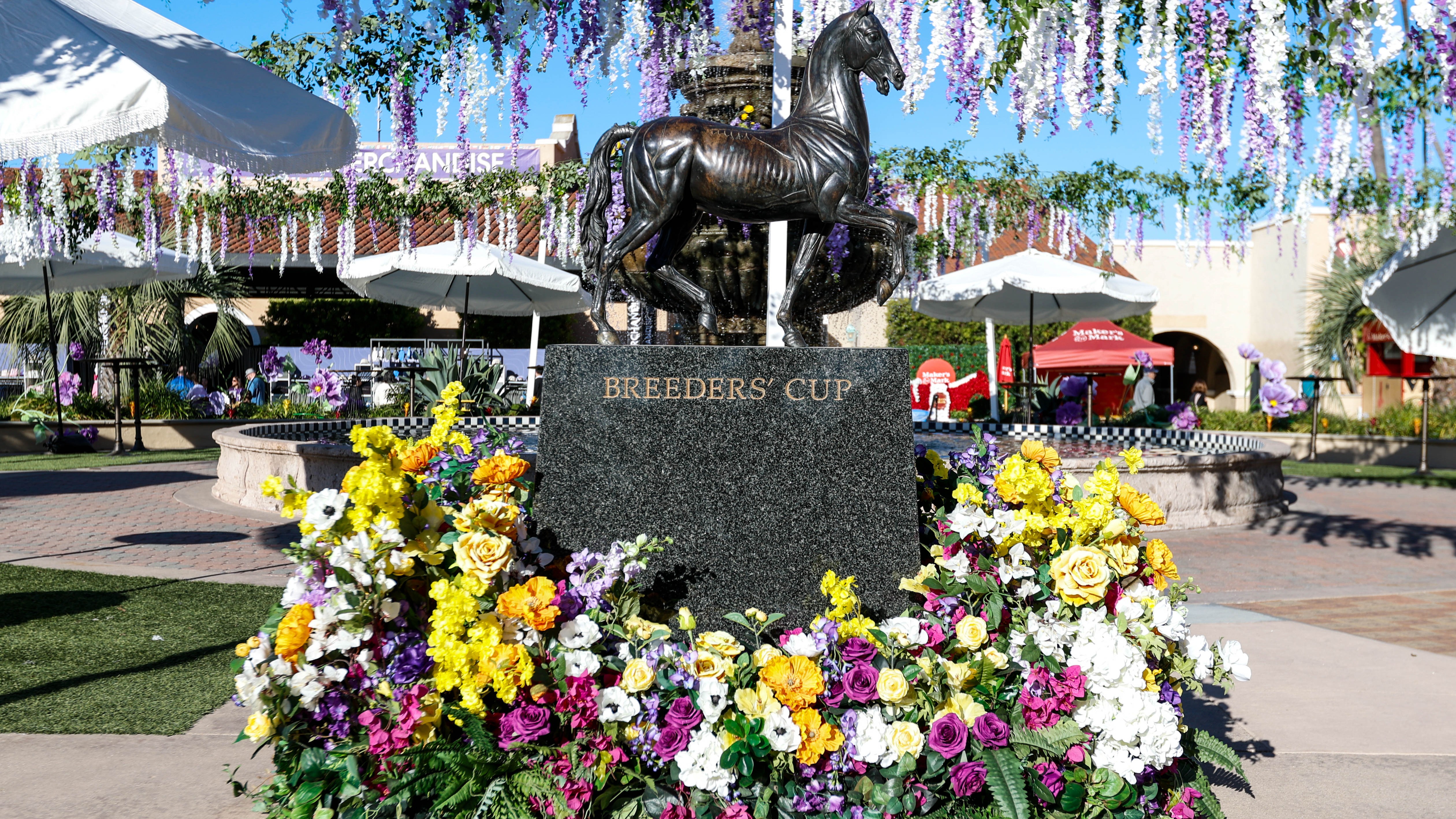 How To Bet - Breeders' Cup Classic Payouts: Win, Place, Show Results