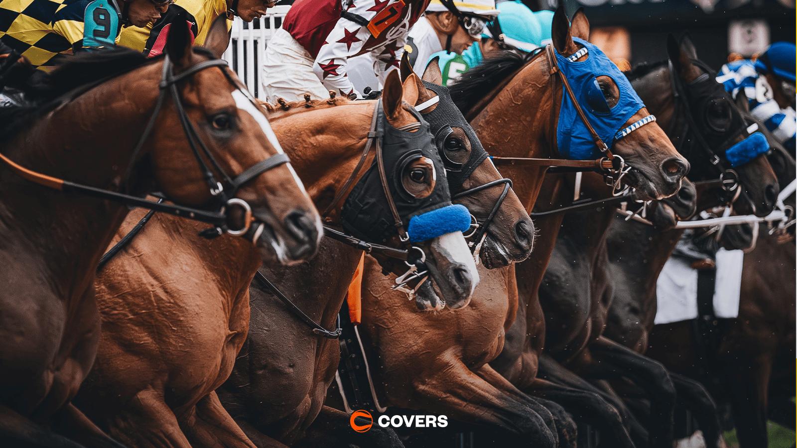 How To Bet - Preakness Stakes AI Predictions: ChatGPT Picks the Winner of the Run for the Black-Eyed Susans