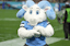 Tar Heels Mascot NCAAF