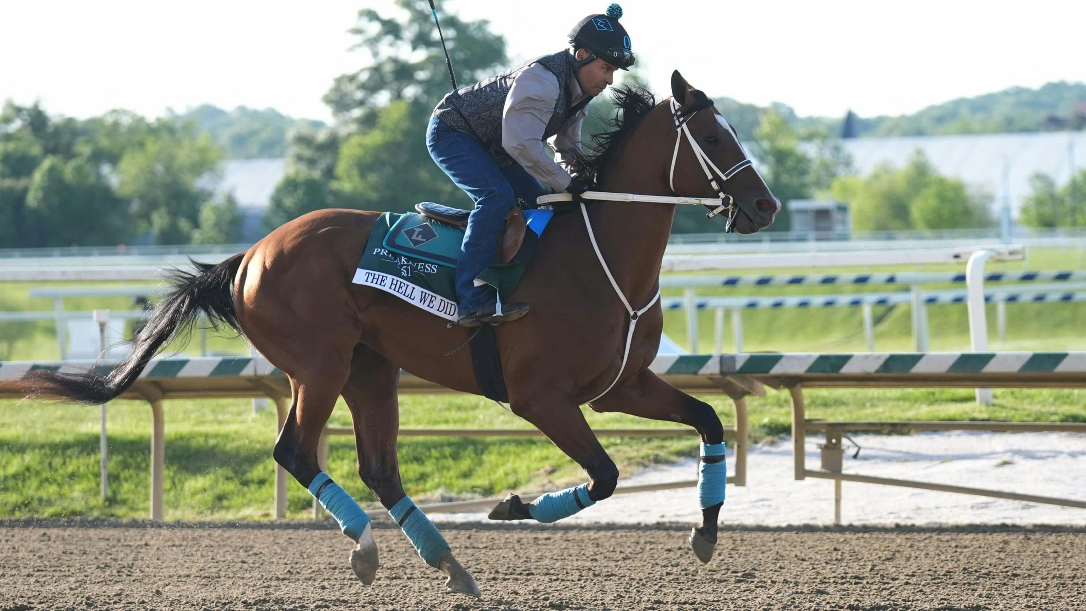 2026 Preakness Stakes Picks: Win, Place & Show Predictions