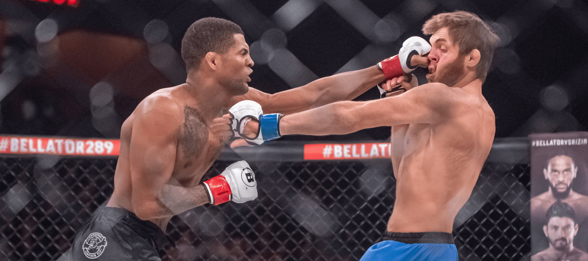 How To Bet - UFC 316 Mario Bautista vs Patchy Mix Predictions, Picks & Odds