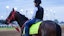 Kentucky Derby 151 Coal Battle