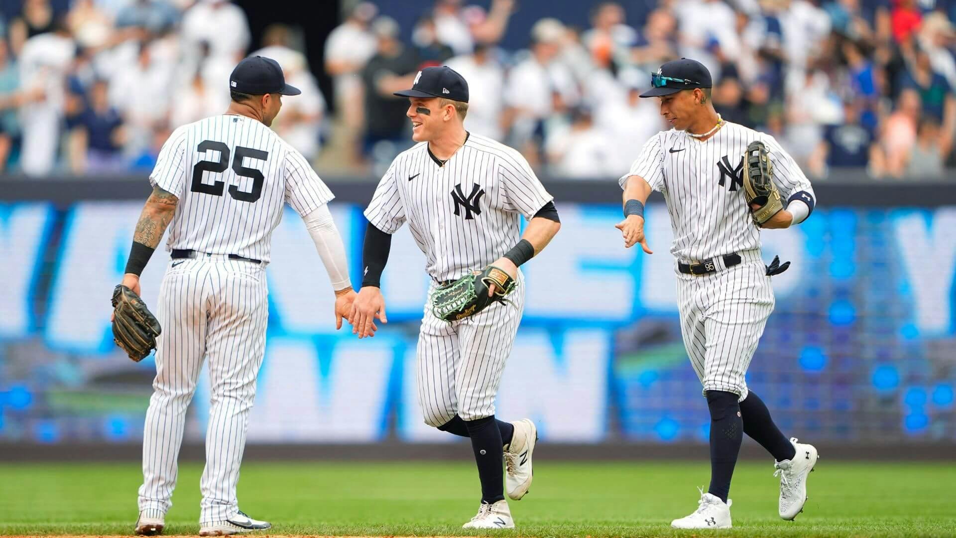 New York Yankees MLB