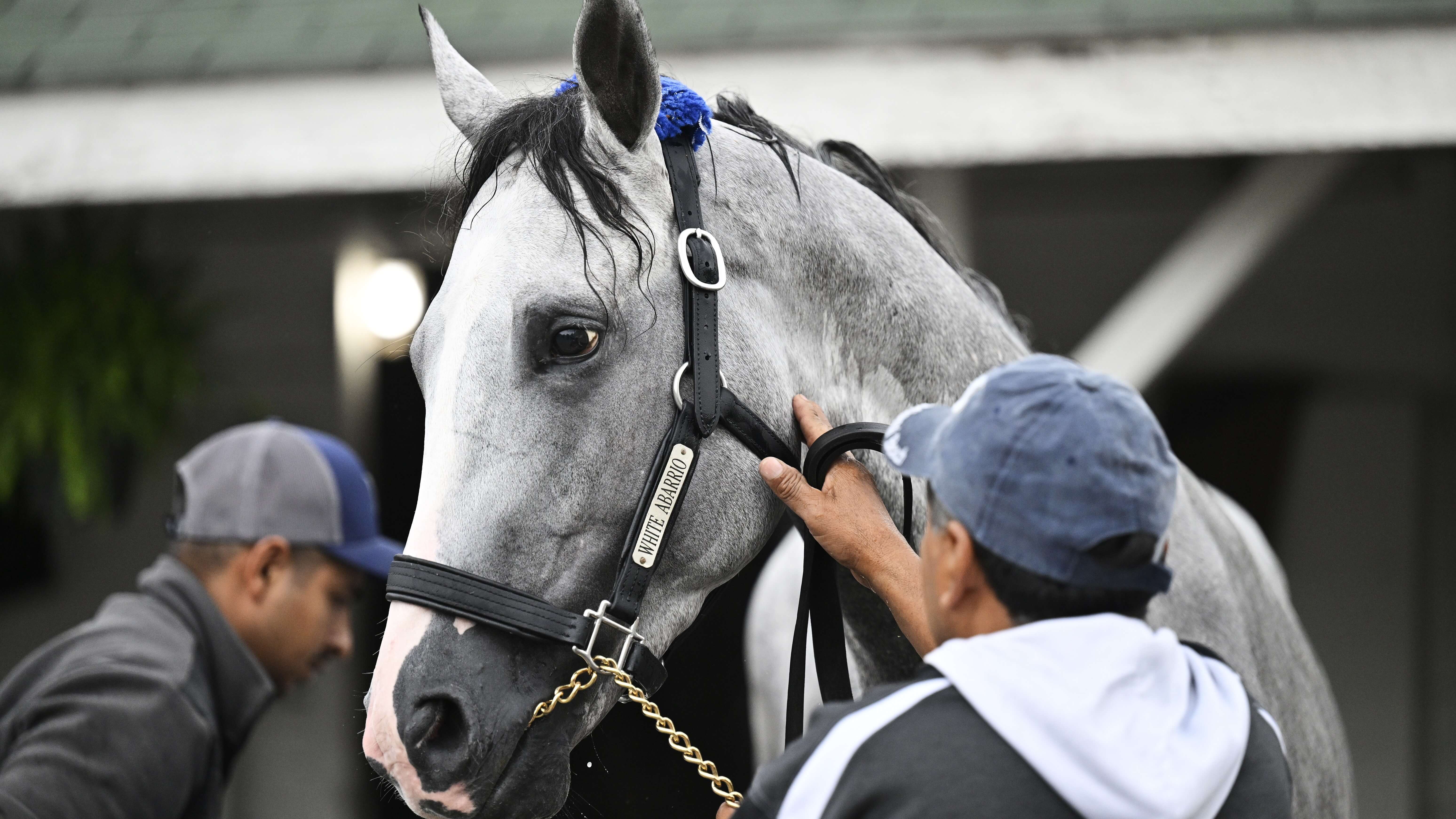 How To Bet - Road to the Breeders' Cup Picks & Best Bets for August 2: Whitney Stakes + Clement L. Hirsch Stakes